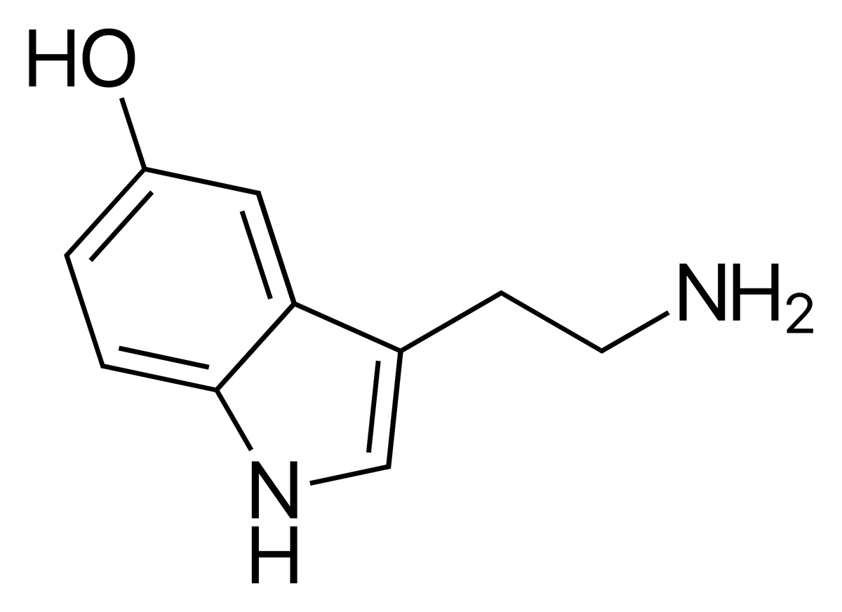 Skeletal structure of the serotonin molecule