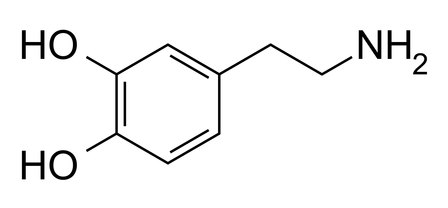 Skeletal structure of the dopamine molecule