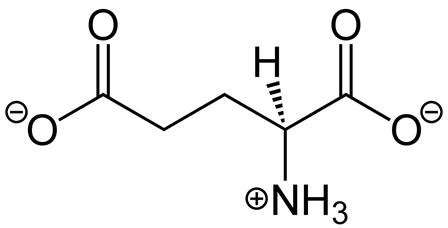 Skeletal structure of the glutamate molecule