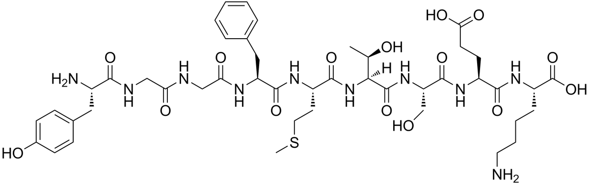 Skeletal structure of beta-endorphin, a chain of amino acids