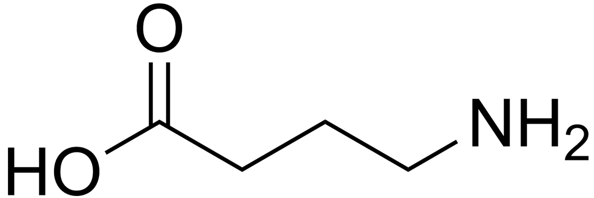Skeletal structure of the GABA molecule